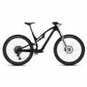 VTT ROCKRIDER AM Feel 900 S Team Edition Cadre Carbone