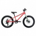 Vélo Enfant SCAMP Tallfox 20'' Rose